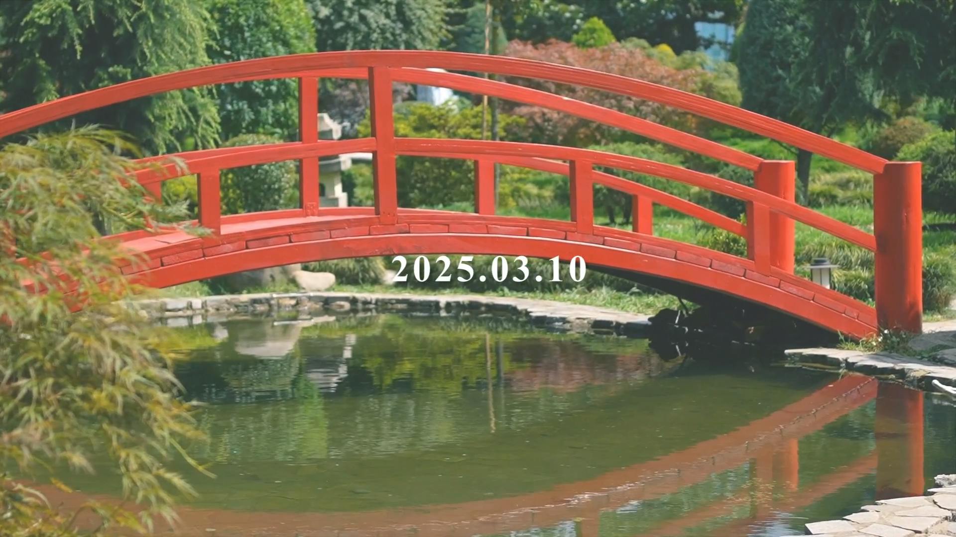 Opening Hannari ムービー 07