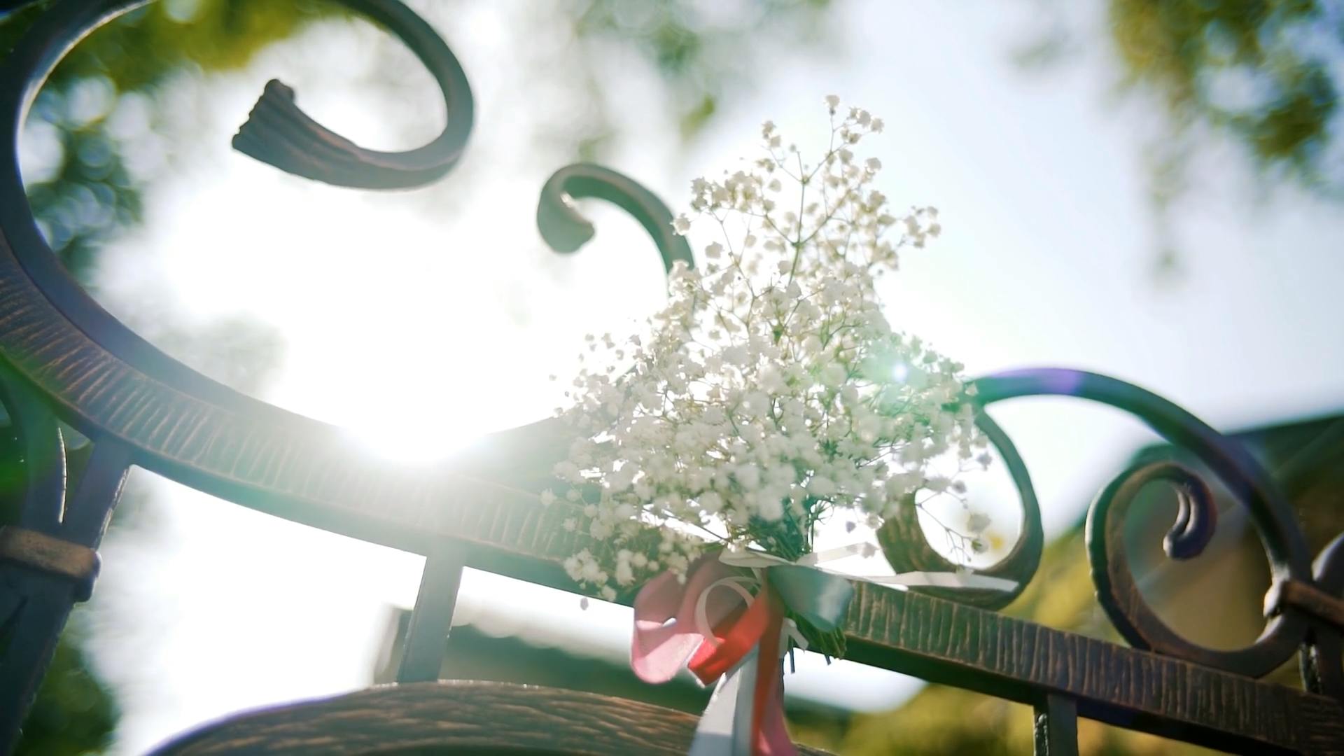 Opening Precious ムービー 07